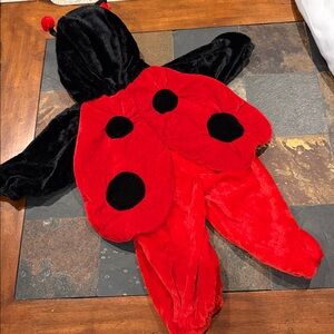 Red & Black Lady Bug Plush costume.